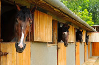 free Corarnstilbeg stable construction quotes